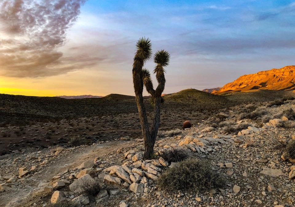 Building the Future of Summerlin West: A Look Into the Planned Villages and Environmental Preservation