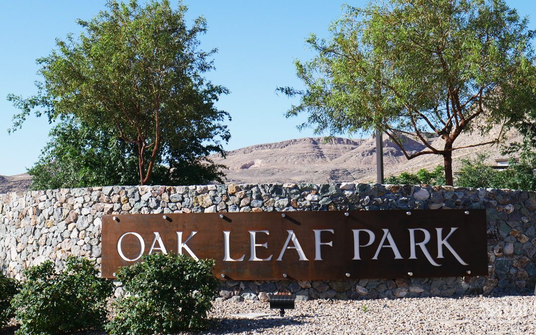 Discover the Best Parks in Summerlin, NV: Your Guide to Outdoor Fun and Adventure